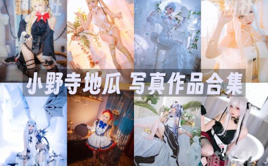 小野寺地瓜：COS写真作品合集[14套/2.2G][永久更新]